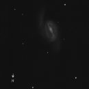 ngc 2903neg